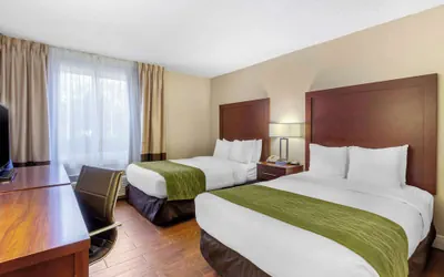 Photo 4 - Comfort Inn St Petersburg North