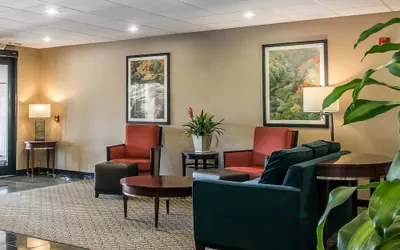 Photo 3 - Comfort Suites Wixom - Novi
