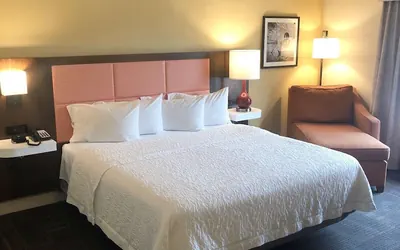 Photo 5 - Hampton Inn & Suites Norfolk-Airport
