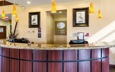 Photo 5 - Comfort Suites near NASA - Clear Lake