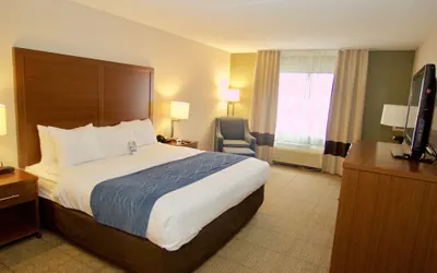 Photo 3 - Comfort Inn Near Quantico Main Gate North