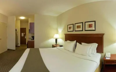 Photo 5 - Holiday Inn Express & Suites Flowood by IHG