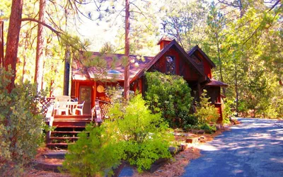 Photo 2 - Always Inn Idyllwild Vacation Cottages