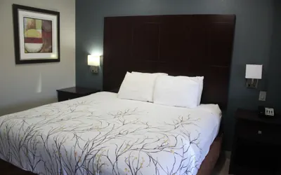 Photo 5 - Cotulla Executive Inn