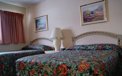 Photo 4 - Meadow Court Inn