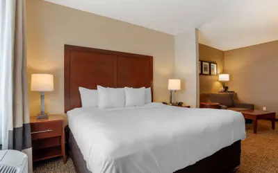 Photo 5 - Comfort Suites Foley
