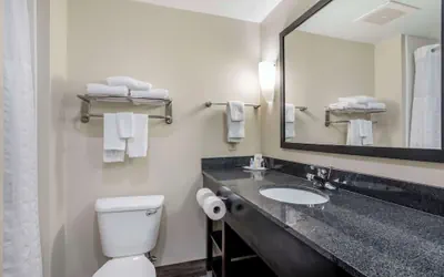 Photo 3 - Comfort Suites Knoxville East