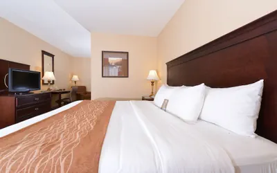 Photo 5 - Comfort Inn & Suites McMinnville Wine Country
