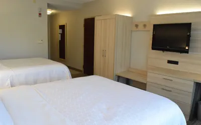 Photo 4 - Holiday Inn Express & Suites Rochester Webster by IHG