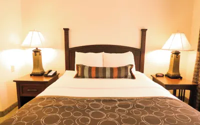 Photo 3 - Staybridge Suites Detroit Novi by IHG