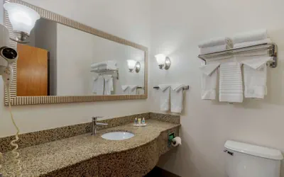 Photo 5 - Comfort Suites Stockbridge Atlanta South