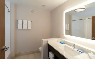 Photo 5 - Holiday Inn Express Hotel & Suites Texas City by IHG