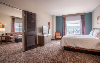 Photo 4 - Hilton Garden Inn Mankato Downtown
