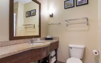 Photo 4 - Comfort Suites Saraland - North Mobile