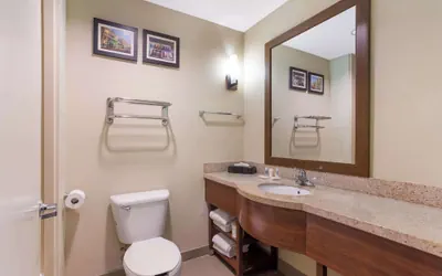 Photo 5 - Comfort Suites Saraland - North Mobile
