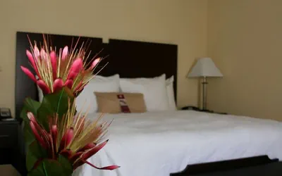 Photo 5 - Hampton Inn & Suites Orlando-John Young Pkwy/S. Park