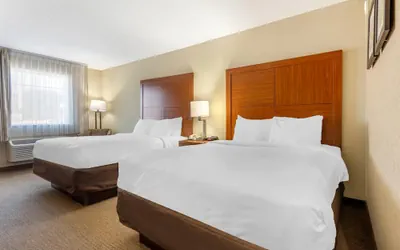 Photo 3 - Comfort Inn & Suites Charleston Airport Convention Center