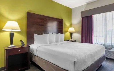 Photo 4 - Best Western Plus Mansfield Inn & Suites