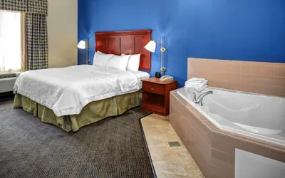 Photo 5 - Hampton Inn Coldwater