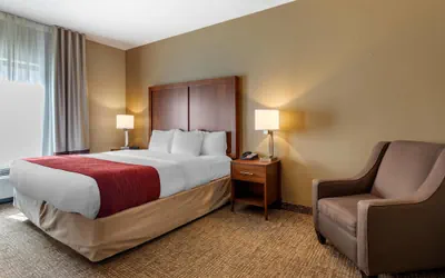 Photo 5 - Comfort Inn & Suites Russellville I-40