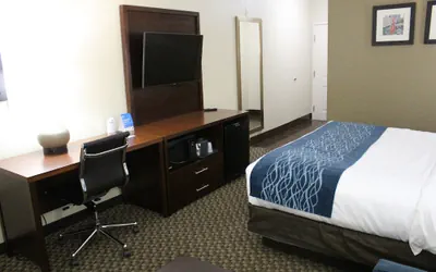 Photo 5 - Comfort Inn & Suites Near Six Flags & Medical Center