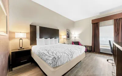 Photo 3 - Best Western Boerne Inn & Suites