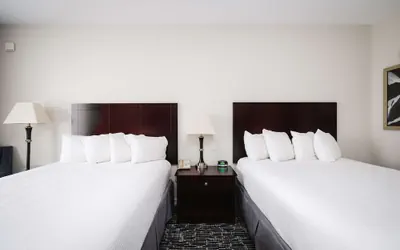 Photo 5 - Best Western Sugarland Inn