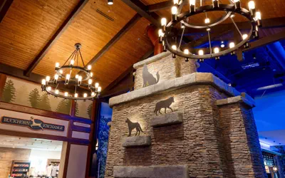 Photo 2 - Great Wolf Lodge Illinois