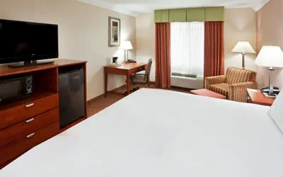 Photo 4 - Holiday Inn Express Hotel & Suites Niagara Falls by IHG