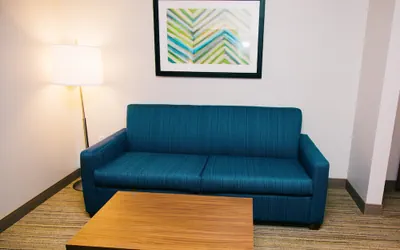 Photo 3 - Holiday Inn Express & Suites Tampa USF Busch Gardens by IHG