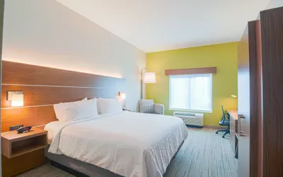 Photo 4 - Holiday Inn Express & Suites Tampa USF Busch Gardens by IHG
