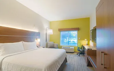 Photo 5 - Holiday Inn Express & Suites Tampa USF Busch Gardens by IHG