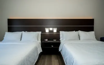 Photo 5 - Holiday Inn Express & Suites Deer Park by IHG
