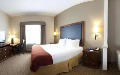 Photo 3 - Holiday Inn Express & Suites Deer Park by IHG