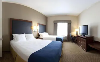 Photo 4 - Holiday Inn Express & Suites Deer Park by IHG