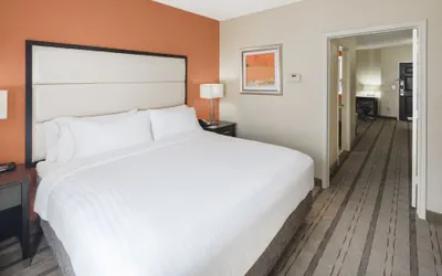 Photo 5 - Holiday Inn Express & Suites Atlanta NE - Duluth by IHG