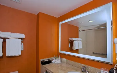 Photo 4 - Holiday Inn Express & Suites Atlanta NE - Duluth by IHG