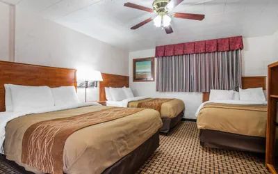 Photo 5 - Rodeway Inn Elko Downtown Area