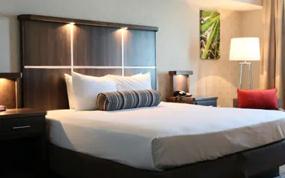 Photo 3 - Avi Resort & Casino