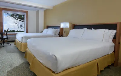 Photo 5 - Holiday Inn Express & Suites High Point South by IHG