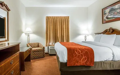 Photo 5 - Comfort Suites Jefferson City