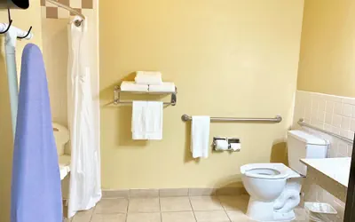 Photo 5 - Holiday Inn Express & Suites Alice by IHG