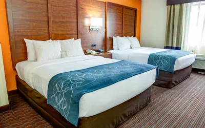 Photo 5 - Comfort Suites Stevensville - St. Joseph