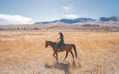 Photo 2 - Cibolo Creek Ranch And Resort
