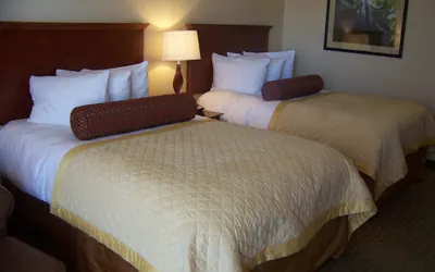 Photo 5 - Norfolk Country Inn & Suites