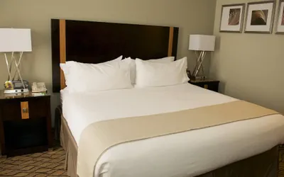 Photo 5 - Holiday Inn Effingham by IHG
