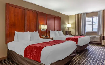 Photo 4 - Comfort Suites Delavan - Lake Geneva Area