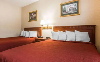 Photo 4 - Point Hotel Queensbury