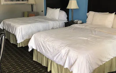 Photo 5 - Executive Inn