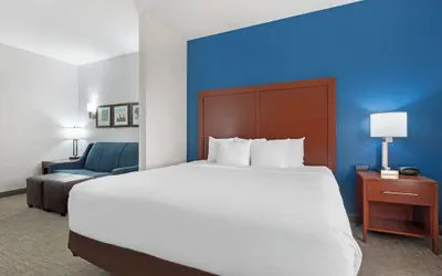 Photo 5 - Comfort Suites DFW North/Grapevine